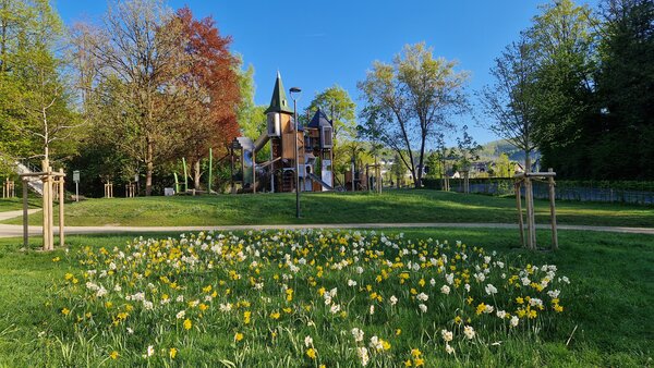 Bild vergr&ouml;&szlig;ern: 20250428_082849