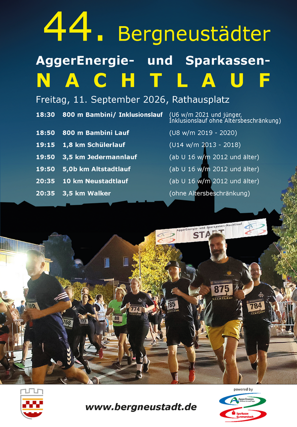 Bild vergr&ouml;&szlig;ern: Plakat Nachtlauf
